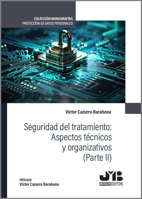 SEGURIDAD DEL TRATAMIENTO: ASPECTOS TÉCNICOS Y ORGANIZATIVOS. (Parte II)