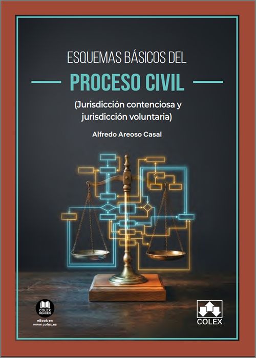 ESQUEMAS BÁSICOS DEL PROCESO CIVIL. (Jurisdicción contenciosa y jurisdicción voluntaria) (IBD)