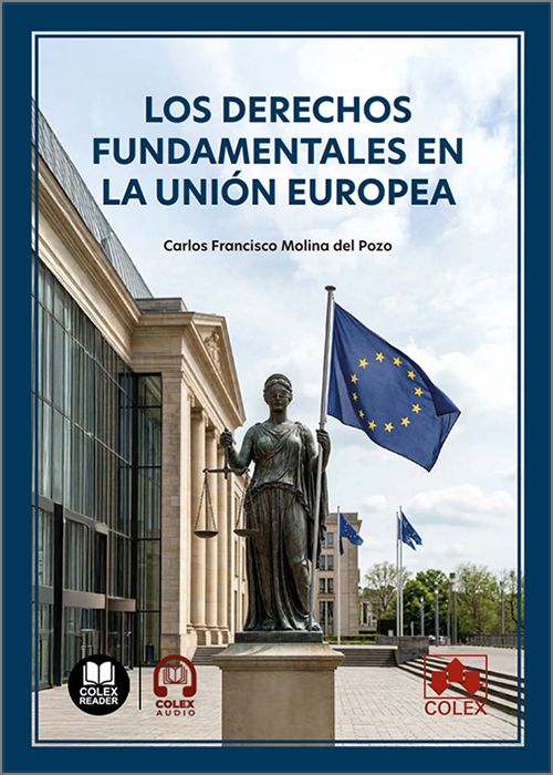 DERECHOS FUNDAMENTALES EN LA UNIÓN EUROPEA, LOS. (IBD)