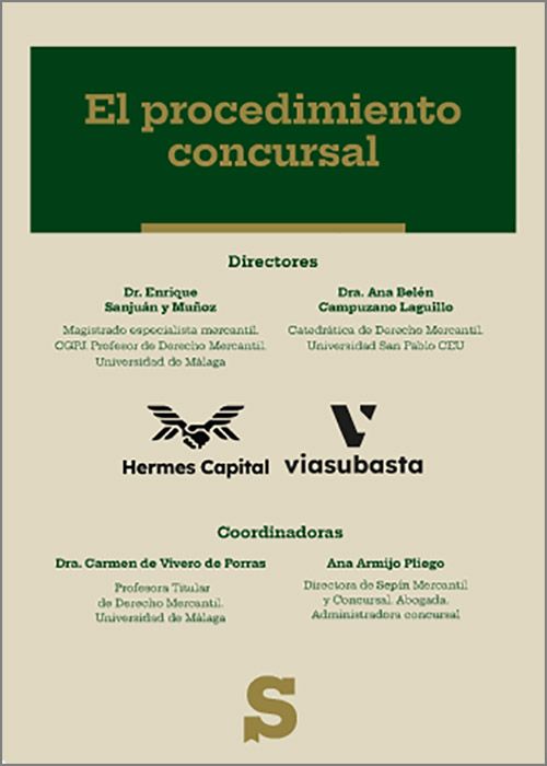 PROCEDIMIENTO CONCURSAL, EL.