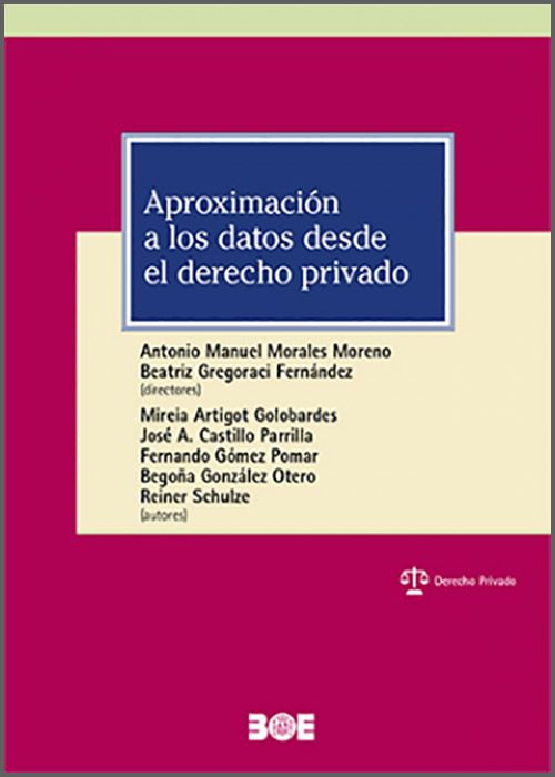 APROXIMACIÓN A LOS DATOS DESDE EL DERECHO PRIVADO.