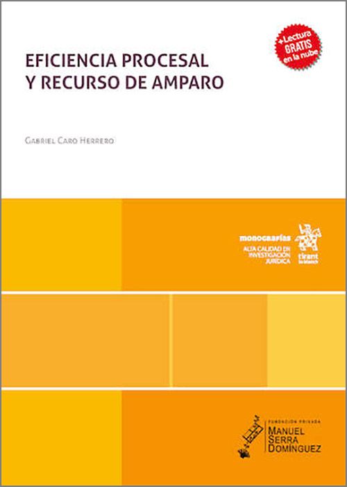 EFICIENCIA PROCESAL Y RECURSO DE AMPARO.