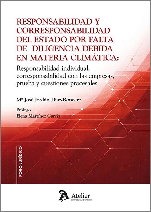 RESPONSABILIDAD Y CORRESPONSABILIDAD DEL ESTADO POR FALTA DE DILIGENCIA DEBIDA EN MATERIA CLIMÁTICA. Responsabilidad individual, corresponsabilidad con las empresas, prueba y cuestiones procesales..
