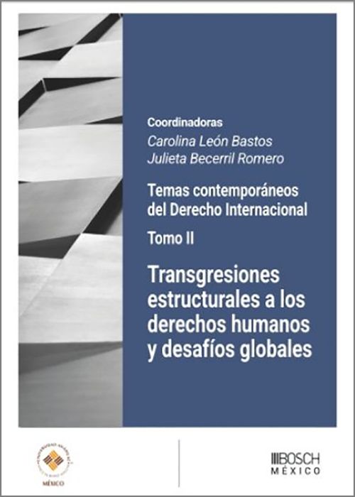TRANSGRESIONES ESTRUCTURALES A LOS DERECHOS HUMANOS Y DESAFÍOS GLOBALES.