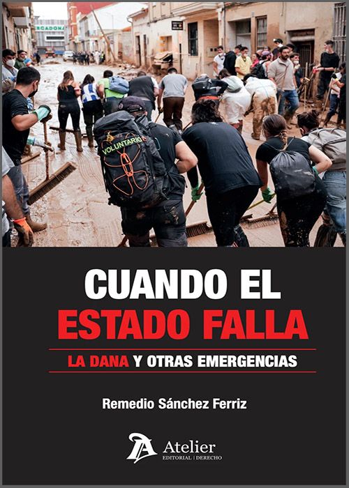 CUANDO EL ESTADO FALLA. La DANA y otras emergencias: Responsabilidad política, Constitución y derecho a la información.