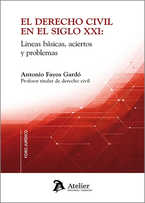 DERECHO CIVIL EN EL SIGLO XXI, EL. Líneas básicas, aciertos y problemas.